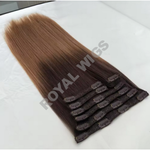 CLIPIN HAIR EXTENSION