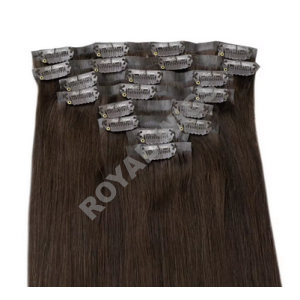 CLIPIN HAIR EXTENSION